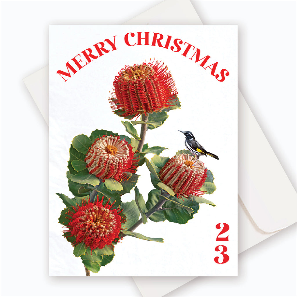 X010 MC: Albany Banksia.