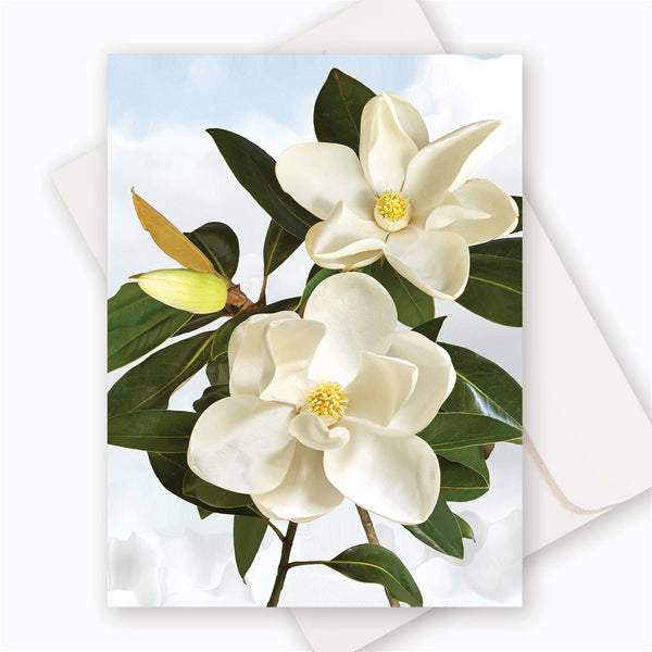 C0011 Magnolia.