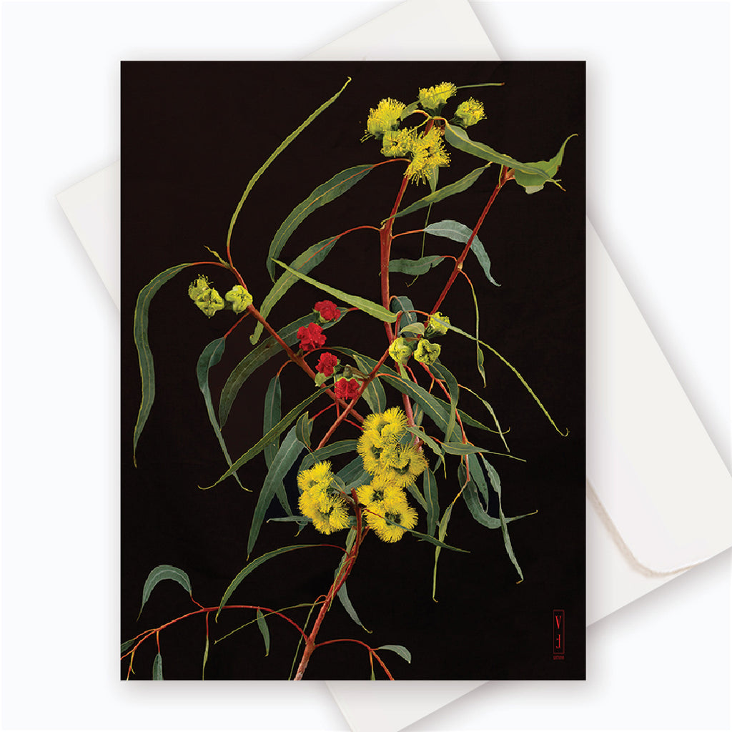 C0012 Illyarrie (B).