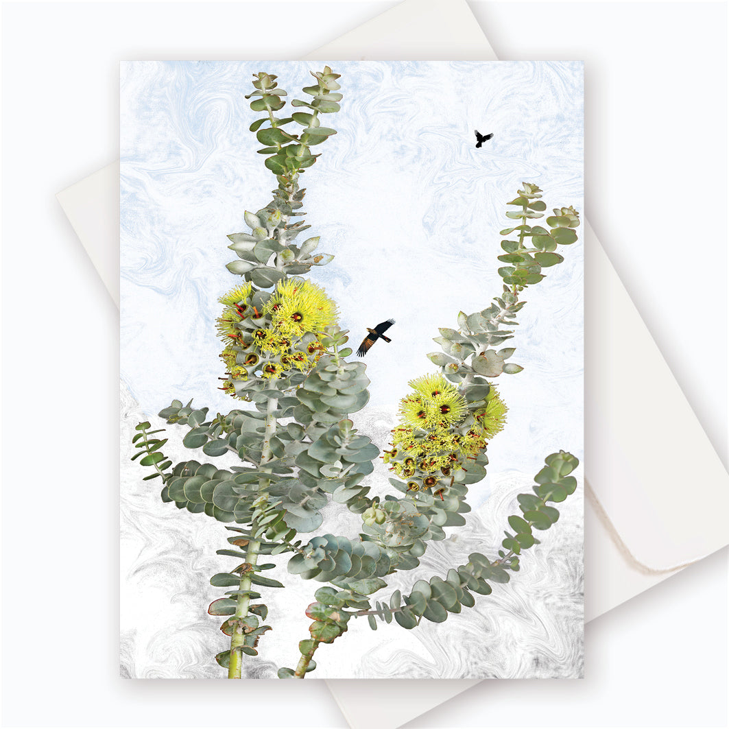 C0018 Bookleaf Mallee