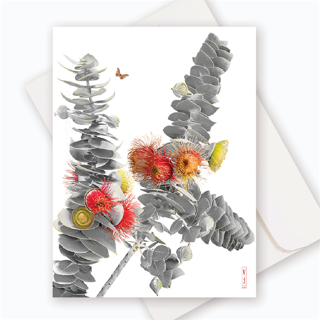 C0056 Mottlecah/Macrocarpa.