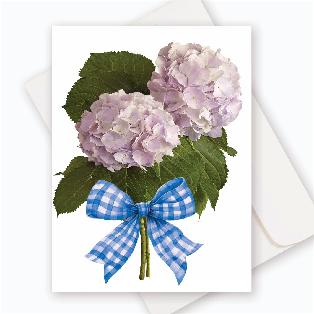 C0070A Hydrangea.