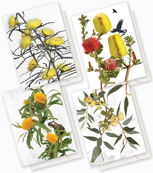 Australian Wildflower Pack D : 8 card boxed set $39.95.