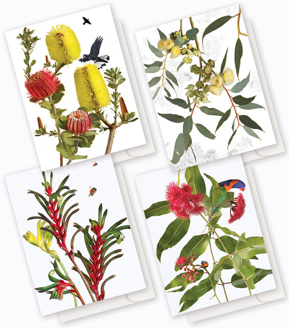 Australian Wildflower Pack J : 8 card boxed set $49.95.