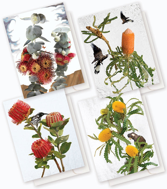 Australian Wildflower Pack K : 8 card boxed set $49.95.