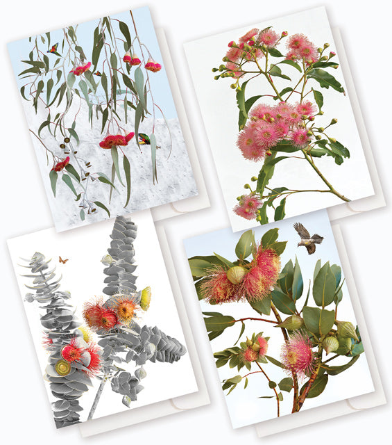 Australian Wildflower Pack L : 8 card boxed set $49.95.