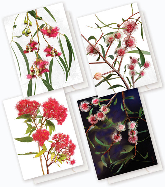 Australian Wildflower Pack M : 8 card boxed set $49.95.