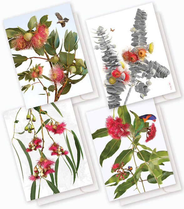 Australian Wildflower Pack B : 8 card boxed set $39.95.